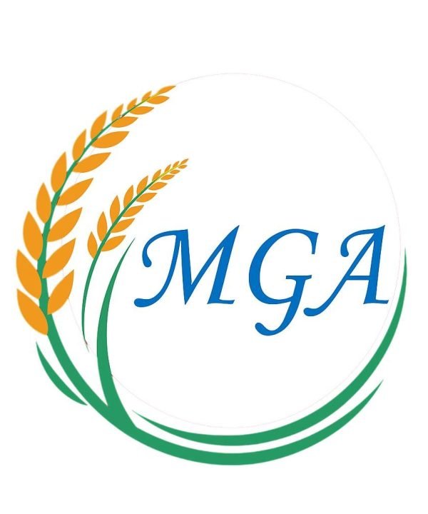 578553377 122095833915120933 180555548557825090 n