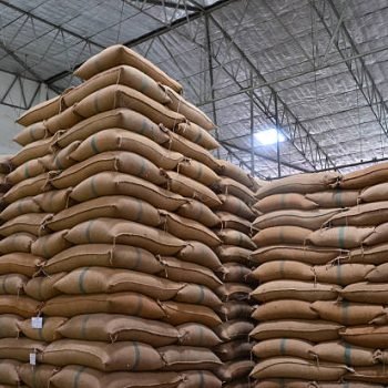 hemp sacks containing rice hemp sacks containing rice